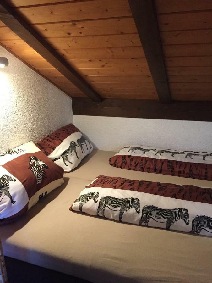 Hegau-Lounge-Bodensee Muhlhausen-Ehingen Zewnętrze zdjęcie