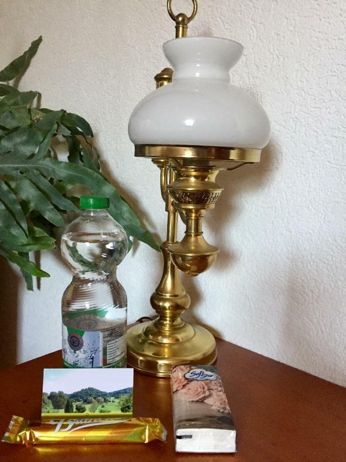 Hegau-Lounge-Bodensee Muhlhausen-Ehingen Zewnętrze zdjęcie