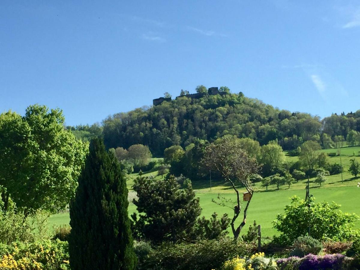 Hegau-Lounge-Bodensee Muhlhausen-Ehingen Zewnętrze zdjęcie